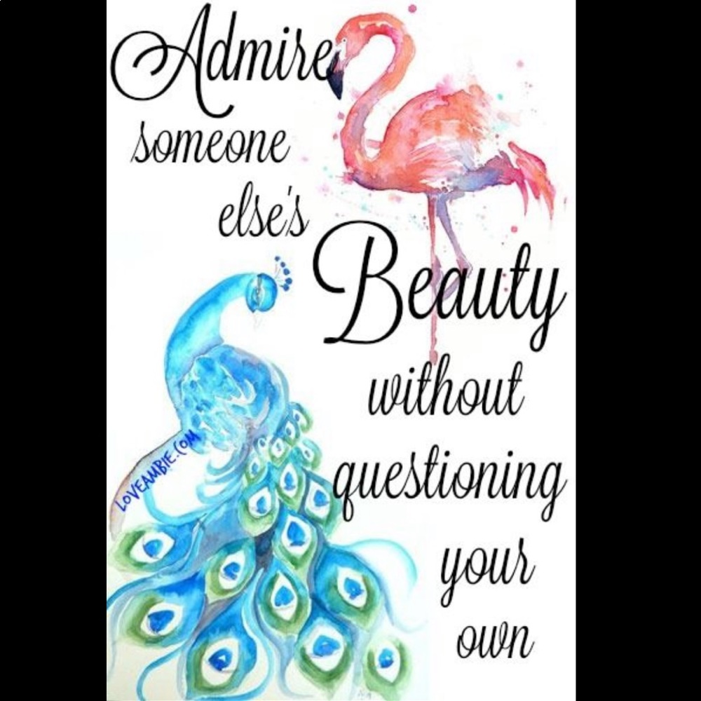 Meet your Posher, Lemonflamingo